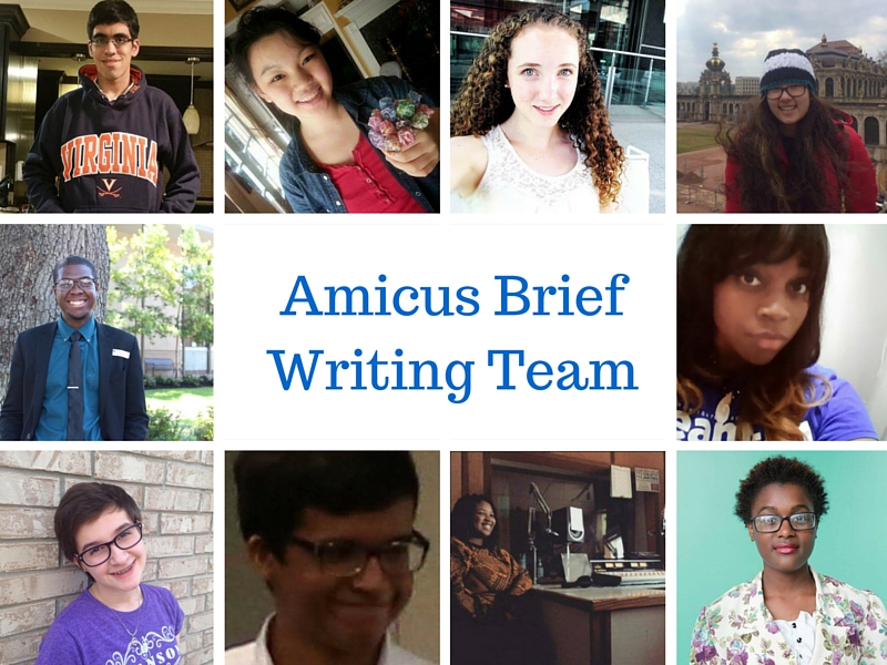 Amicus brief writing jobs